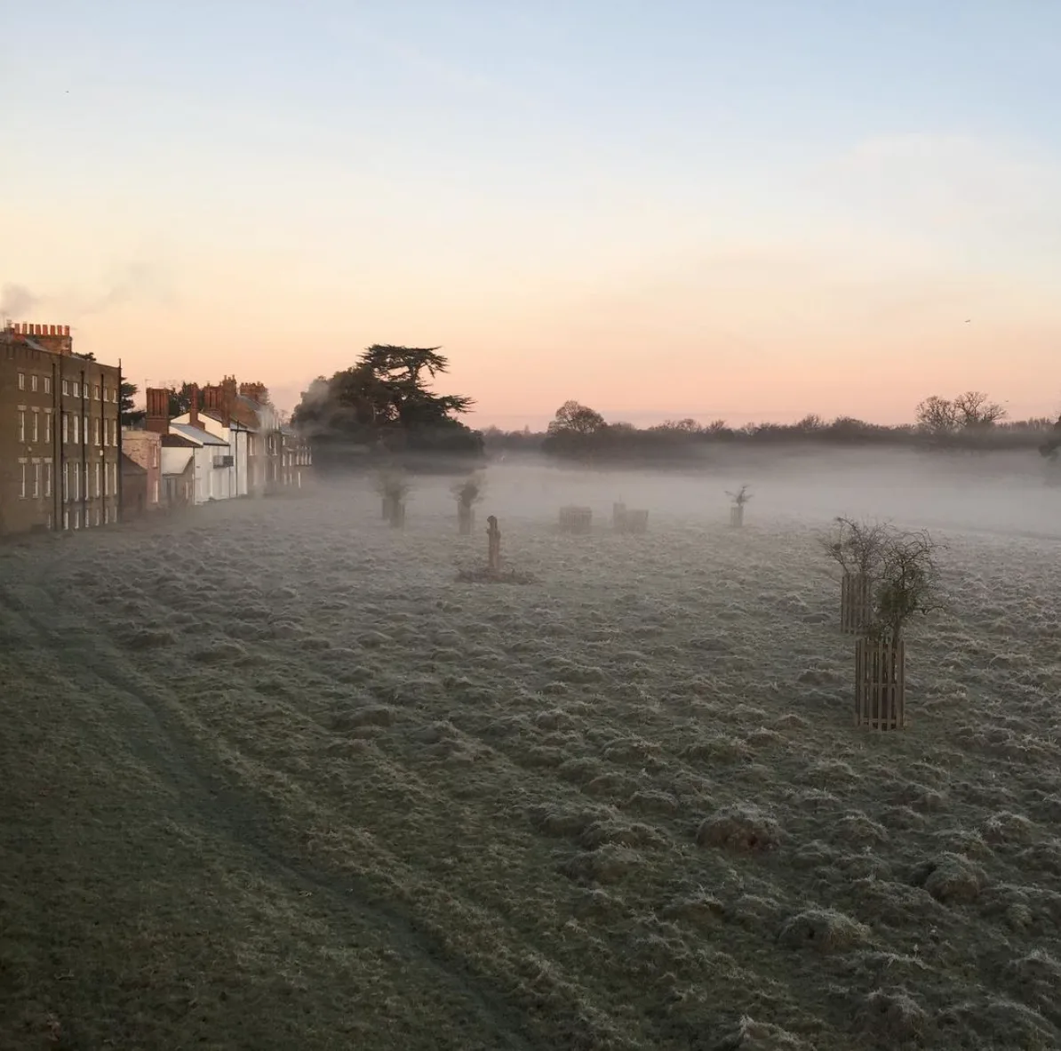 Frosted, misty morning over Bushy Park beside the Ethos HQ terrace, London